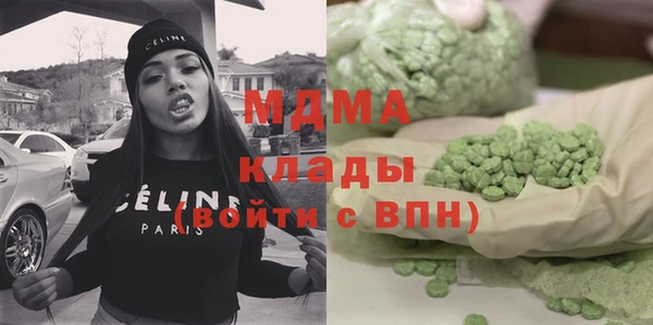 сатива Новозыбков