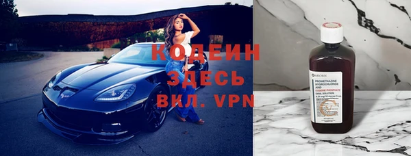 сатива Новозыбков