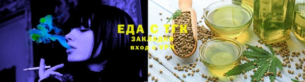 сатива Новозыбков