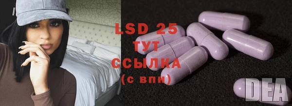 тгк Новодвинск