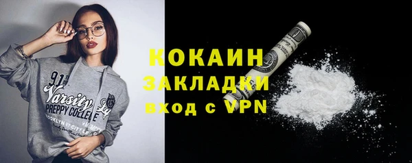 сатива Новозыбков