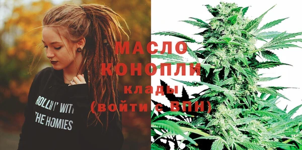 тгк Новодвинск