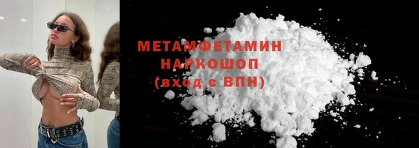сатива Новозыбков