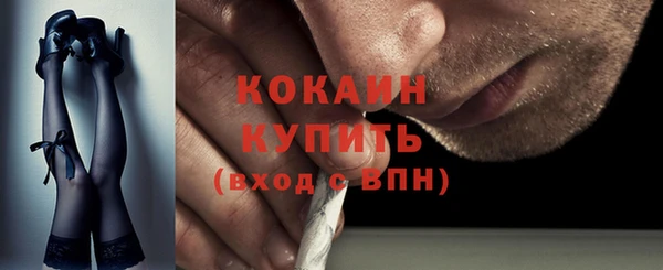 сатива Новозыбков