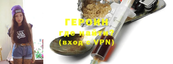 сатива Новозыбков