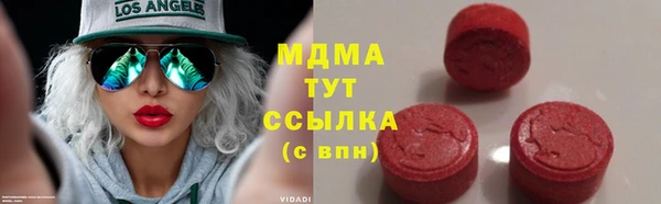 сатива Новозыбков