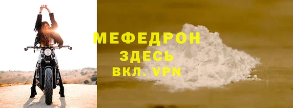 сатива Новозыбков