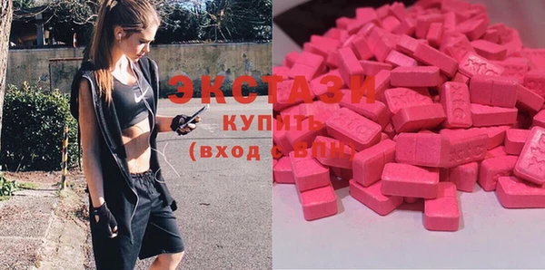 сатива Новозыбков