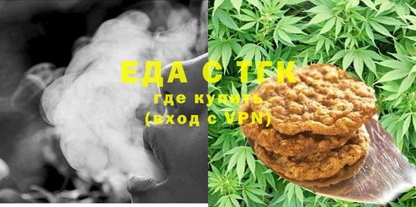 сатива Новозыбков