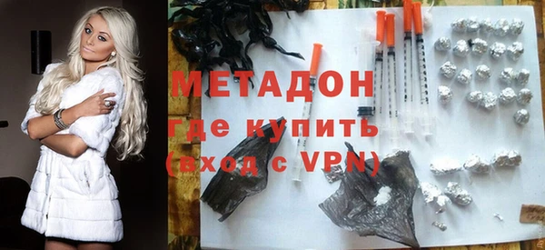 сатива Новозыбков