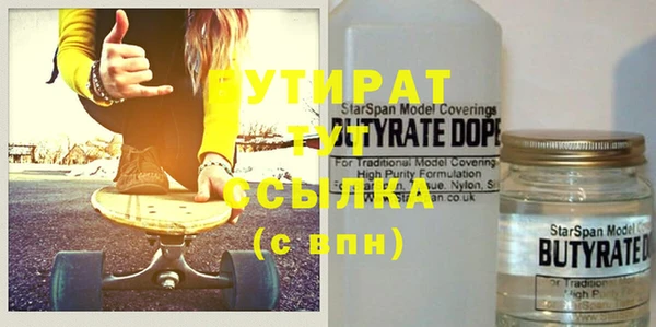 сатива Новозыбков