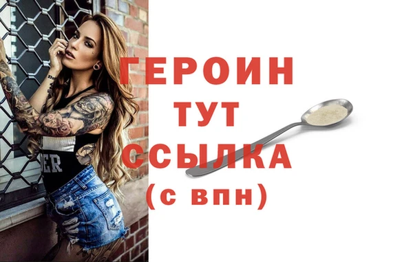 сатива Новозыбков