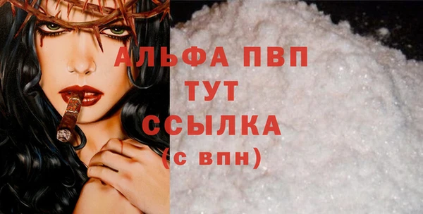 тгк Новодвинск