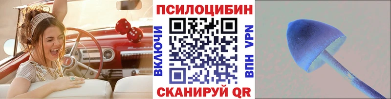 что такое   Химки  Псилоцибиновые грибы ЛСД 