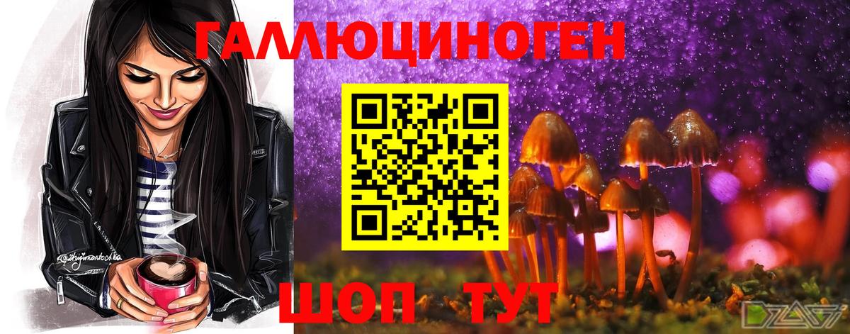 Псилоцибиновые грибы Psilocybine cubensis  Вход с VPN  Химки 